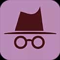 Incognito Play